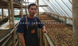 Pemuda Asal Rancakalong Memilih Profesi Sebagai Petani Kopi