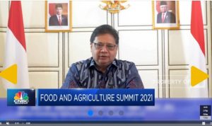 Menko Airlangga: Penguatan Sektor Pertanian Untuk Ketahanan Pangan dan Peningkatan Kesejahteraan Petani