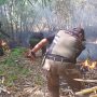 Khawatir Merembet, Petugas Damkar Padamkan Api di Kebun