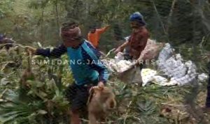 Animal Rescue Sumedang Geram dengan Adanya Relokasi Monyet di Gunung Golempang