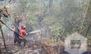 Dalam 24 Jam, Damkar Sumedang Tangani Tiga Kasus Kebakaran Lahan Kebun