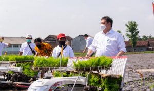 Apresiasi Petani Milenial, Menko Airlangga: Smart Farming Dukung Ketahanan Pangan