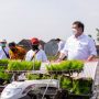 Apresiasi Petani Milenial, Menko Airlangga: Smart Farming Dukung Ketahanan Pangan