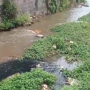 Video Limbah Pabrik Cemari Sungai Cimande Viral