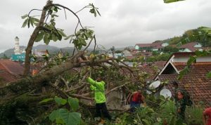 Pohon Raksasa Makam Pasarean Tumbang, Tiga Rumah Rusak Parah