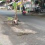 Protes Jalan Rusak, Warga Tanami Pohon Pisang