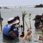 Mahasiswa Fakultas Teknik Geologi Universitas Padjadjaran melakukan penanaman 1.000 bibit mangrove di kawasan Pantai Muara Sawah Kabayan, Desa Muara, Lebak, Banten. (Foto : Istimewa/www.unpad.ac.id)