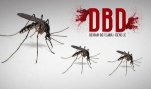 Penyakit DBD Menyerang Warga Buahdua