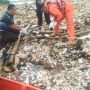 Mayat Mengambang di Tumpukan Sampah Waduk Jatigede