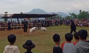 Dongkrak Peternak, Desa Pasirnanjung-Sumedang Miliki Lapang Ketangkasan Domba