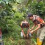 Peduli Alam, Ormas Pemuda Pancasila Hijaukan Areal Sumber Mata Air  