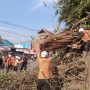 Pohon Ratusan Tahun Tumbang, Tutup Akses Tanjungsari - Rancakalong - Sumedang 