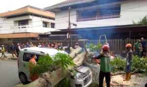 Pohon Tumbang Menimpa Mobil dan Rumah di Bogor Diakibatkan Angin Kencang