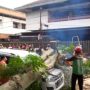 Pohon Tumbang Menimpa Mobil dan Rumah di Bogor Diakibatkan Angin Kencang