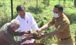 Ritual Kendi Nusantara di IKN, Ridwan Kamil Serahkan Tanah dari 27 Tempat Keramat di Jawa Barat