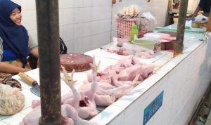 Harga Daging Ayam Mulai Menurun di Pasar Sumedang