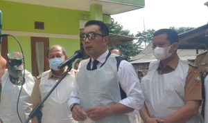 Gubernur Tinjau Vaksinasi PMK Perdana di Jabar