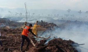 3 Hektar Lahan Terbakar Di Aceh Selatan