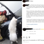 Vidio Viral Penyelamatan Kucing oleh Damkar DKI Jakarta yang Terjebak di Dalam Mesin Mobil oleh Damkar DKI Jakarta