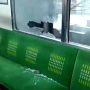 Viral, Video Jendela KRL Dilempar Batu hingga Pecah Berserakan, Ini Penjelasan KAI Commuter