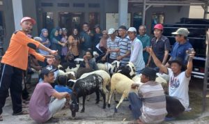 Desa Sukamenak Berikan Bibit Domba, Kembangkan Ekonomi