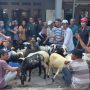 Desa Sukamenak Berikan Bibit Domba, Kembangkan Ekonomi