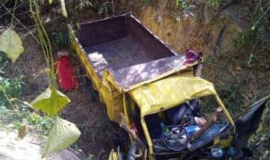 Rem Blong, Mobil Terjun Ke Jurang 3 Penumpang Tewas Dan 4 Korban Lainnya Luka-luka