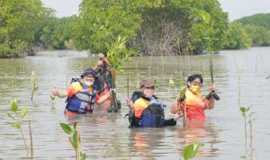 Bio Farma Konsisten Dukung Pelestarian Mangrove di Subang