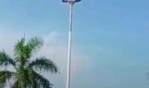 Pemberani! Petani Viral Setelah Panjat Tiang Gara-gara Tali Bendera Nyangkut Di Kawarang