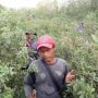 Warga Hilang di Hutan Sumurkondang Cirebon, Hanya Ditemukan Topi, Motor dan Jaring Saja