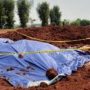 Viral, Temuan Ratusan Paket Sembako Dikubur Di Lapangan, Terduga Sebagai Warga Luar Jawa