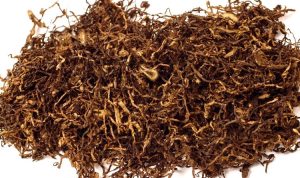Petani Khawatirkan Kualitas Tembakau