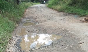 Jalan Kabupaten di Desa Sukamanah Rusak Berat