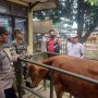 Taati SOP, Pasar Hewan Tanjungsari Kembali Buka