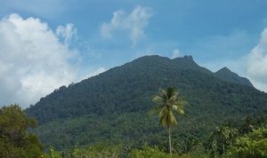 Rekomendasi Wisata Alam Pegunungan di Kabupaten Sumedang, Jawa Barat