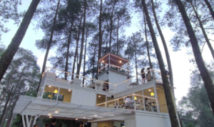 Coffee Shop Di Tengah Hutan Cocok Untuk Bersantai Akhir Pekan