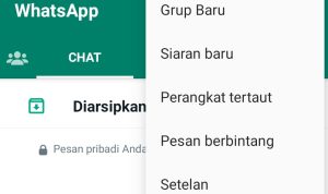 Tutorial Yang Sangat Berguna di Aplikasi WhatsApp, Anti Penipu!