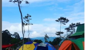 Rekomendasi tempat camping menyenangkan di Sumedang