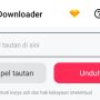 Download Tiktok Tanpa Watermark, Rekomendasi Aplikasi dan Website!