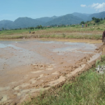 Kondisi air Waduk Jatigede yang terus bergerak naik, berbuah khawatir para petani penggarap.