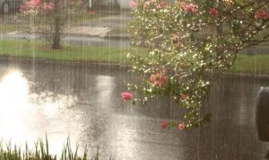 Merasa Tenang Saat Ada Hujan Kamu Mungkin Seorang Pluviophile
