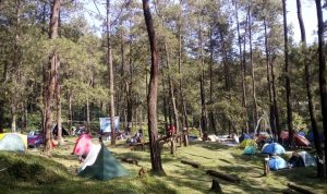 Daya Tarik Camping Ground Cianjur view alam yang menggoda