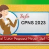 Inilah Passing Grade Tes SKD CPNS 2023 Berdasarkan Permenpan RB Terbaru, Wajib CEK!