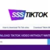 Download Video Tiktok MP3 No Watermark, Unduh Konten No Wm 2023