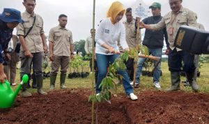 Penanaman Seribu Pohon di Kabupaten Sumedang