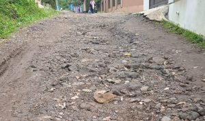 Seperti yang disampaikan oleh salah seorang warga Dusun Pamekarsari bernama Aceng, warga di sini sudah sangat jengkel dengan kondisi jalan rusak.