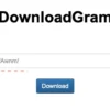 DownloadGram : Situs untuk Mengunduh Foto, Video, Story, IGTV dan Foto Profil Instagram