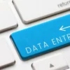 Apa Itu Freelancer Data Entry? Pengertian, Tugas dan Perannya