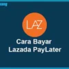 Cara Menikmati Lazada Paylater dengan Mendaftar Kredivo
