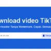 Snaptik: Tempat Download Video TikTok Tanpa Watermark